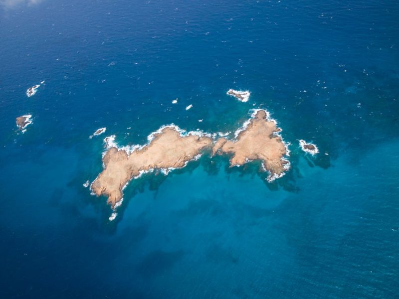 gallery-ocean-week (1)